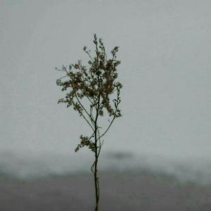 国产精品无码一区二区在线观一
